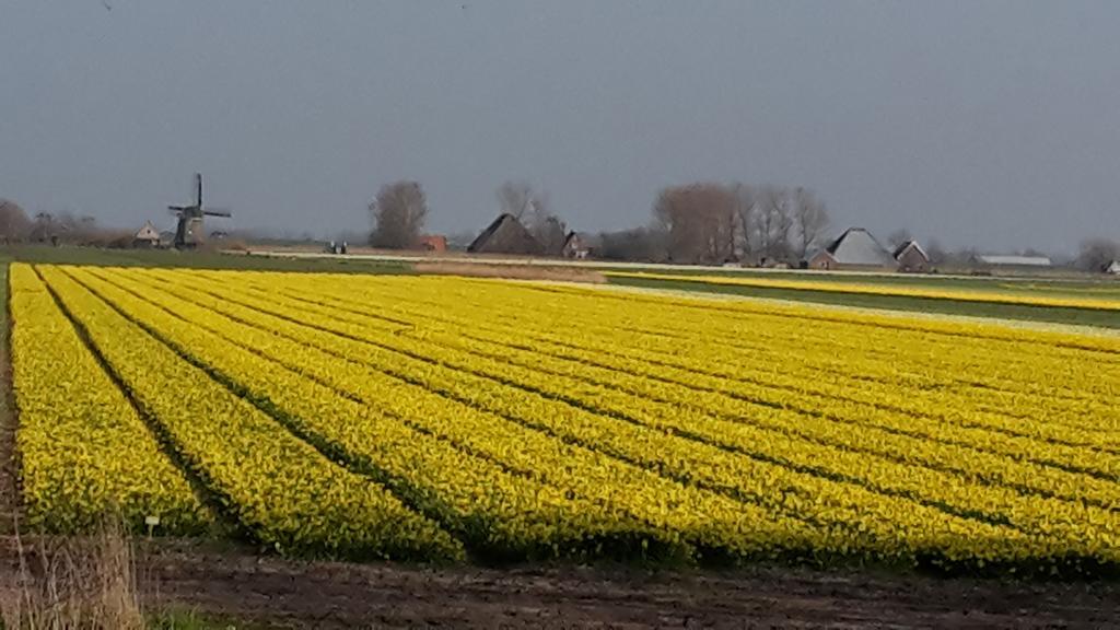 Appartamento Vredehof Sint Maartensbrug Esterno foto