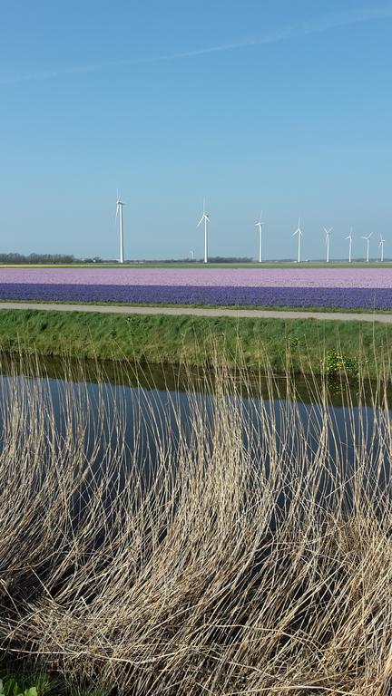 Appartamento Vredehof Sint Maartensbrug Esterno foto